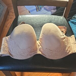 Elegant Lace Trimmed Bra in Tan